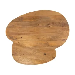 Morella Salontafel set van 2 organisch Mangohout