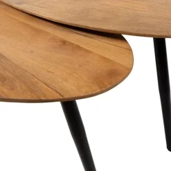 Morella Salontafel set van 2 organisch Mangohout