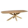 Nicole Eettafel Deens ovaal Mangohout 210 cm