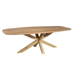 Nicole Eettafel Deens ovaal Mangohout 210 cm