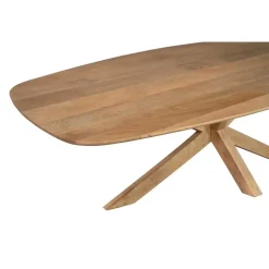 Nicole Eettafel Deens ovaal Mangohout 210 cm