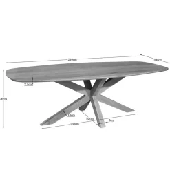 Nicole Eettafel Deens ovaal Mangohout 210 cm
