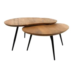 Noli Salontafel set van 2 organisch Mangohout