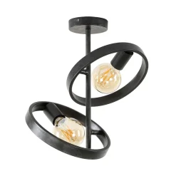 Octavia 2-lichts plafondlamp industrieel