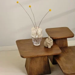 Pauli Salontafel 80cm Mangohout Walnoot