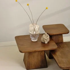 Pauli Salontafel 60cm Mangohout Walnoot
