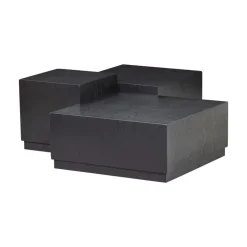 Pim Bijzettafels Hout Zwart Set Van 3