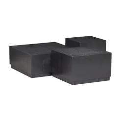 Pim Bijzettafels Hout Zwart Set Van 3