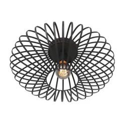 Plafondlamp Dunbar Zwart