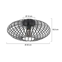 Plafondlamp Dunbar Zwart