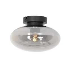 Plafonniere Reflection smoke glass small