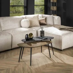 Rania Salontafel set van 2 organisch antiek brons / zwart