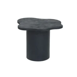 Rosetta Bijzettafel Organisch Zwart 65cm