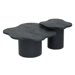 Rosetta Bijzettafel Organisch Zwart 65cm