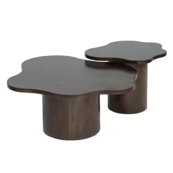 Rosetta Salontafel set van 2 Organisch Walnoot 98cm en 65cm