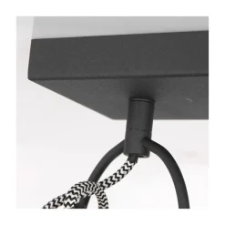 Ross 2-lichts Plafondlamp Zwart