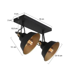 Ross 2-lichts Plafondlamp Zwart