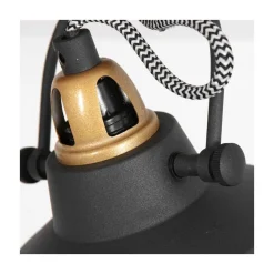 Ross 2-lichts Plafondlamp Zwart