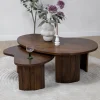 Salontafel Asger set van 2 walnoot 110/70cm