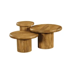 Salontafel ray set van 3