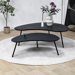Salontafel Signe set van 2 zwart 120/92cm