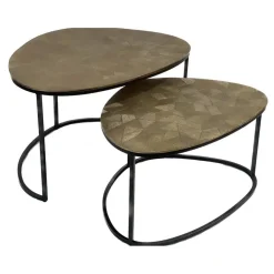 Salontafel Vita organisch Set van 2