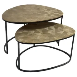 Salontafel Vita organisch Set van 2
