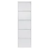 Schoenenkast industrieel Pippen (5 lades) – Wit metaal