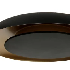 Sean 2-lichts Plafondlamp Zwart|Goud Metaal