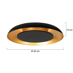 Sean 2-lichts Plafondlamp Zwart|Goud Metaal