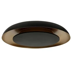Sean 2-lichts Plafondlamp Zwart|Goud Metaal