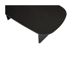 Tablo Salontafel organisch Eikenhout zwart 110cm
