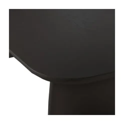 Tablo Salontafel organisch Eikenhout zwart 110cm