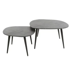 Tate Salontafel set van 2 Organisch zwart