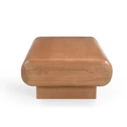 Teun Salontafel rechthoek Mangohout 120 cm