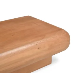 Teun Salontafel rechthoek Mangohout 120 cm
