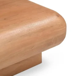 Teun Salontafel vierkant Mangohout 80 cm