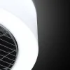 The Fan no. 5 Plafondventilator/lamp antraciet - opal