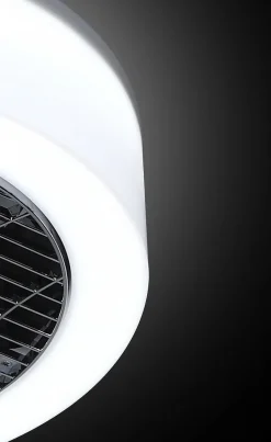 The Fan no. 5 Plafondventilator/lamp antraciet - opal