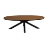 Tuintafel Arezzo ovaal 240cm