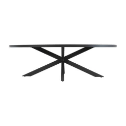 Tuintafel Murcia ovaal 242cm
