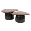 Vero Salontafel set van 2 organisch Acaciahout