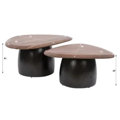 Vero Salontafel set van 2 organisch Acaciahout