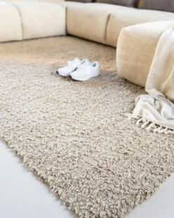 Vloerkleed Loop 160×230 beige